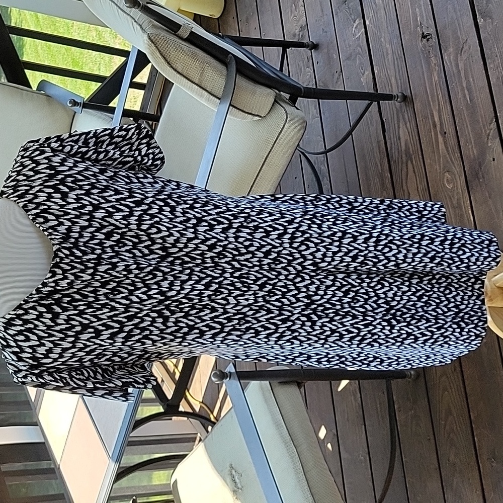 AA STUDIO 🐈 DRESS - Picture 5 of 7